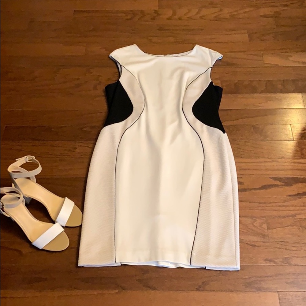 Ann Taylor NWOT Elegant Black&Cream Dress Size 10P